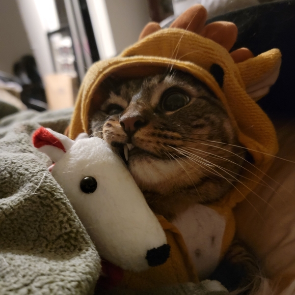 Plus sized clothing and accessories ๐ - Picture 6 of 11